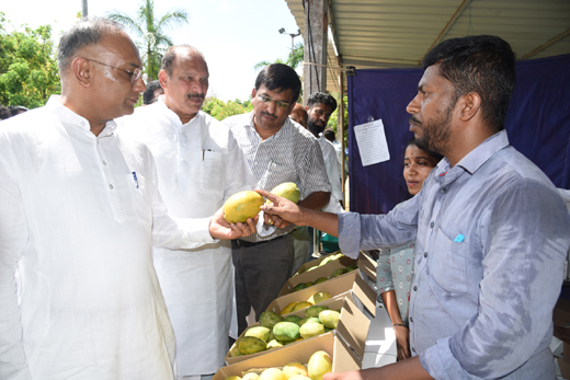 Mango-jackfruit mela